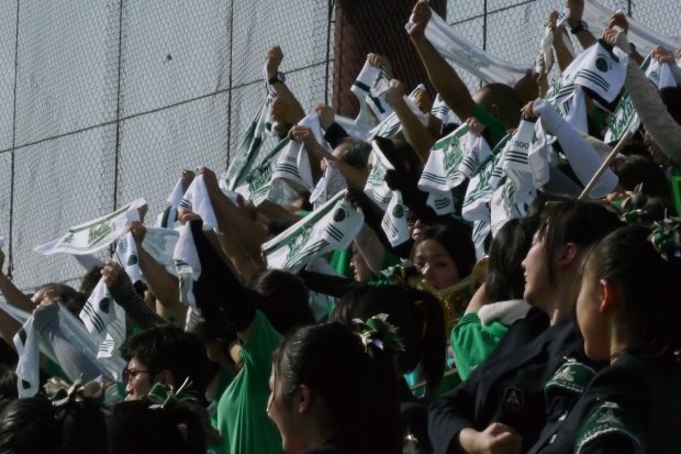 第95回全国高校野球選手権 埼玉県大会 3回戦