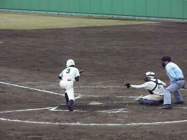 平成24年度栃木県高等学校野球春季大会