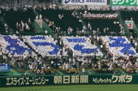 8月8日 甲子園球場 風景