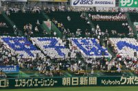 8月8日 甲子園球場 風景